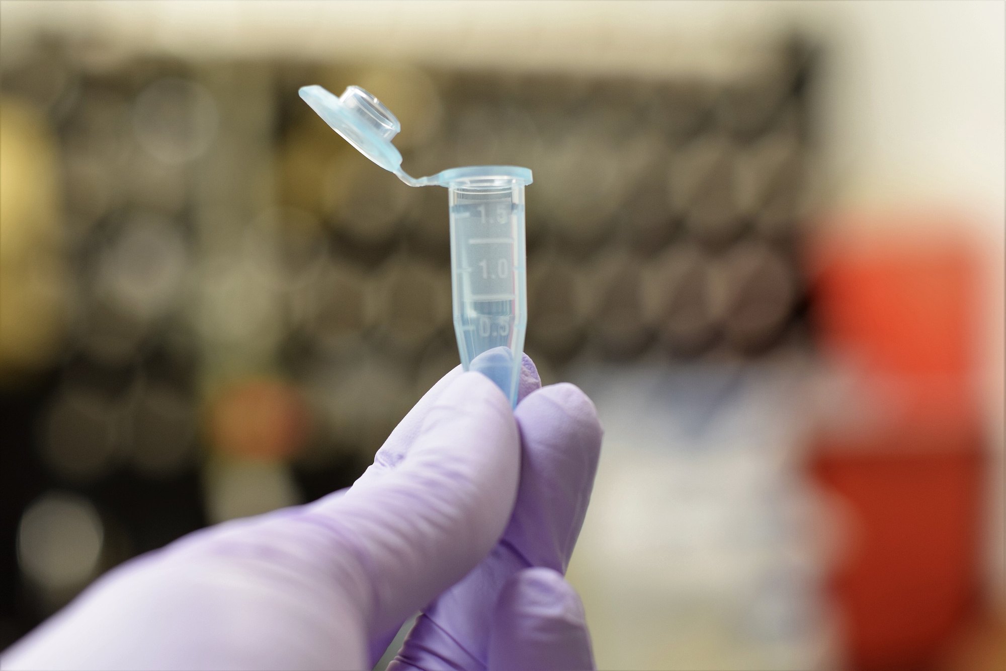 RNA / DNA İzolasyonu ve Saflaştırma — laboratuvar görüntüsü