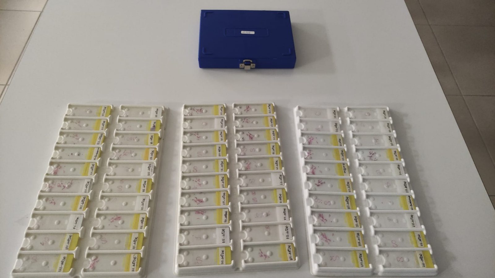 RNA / DNA İzolasyonu ve Saflaştırma — laboratuvar görüntüsü