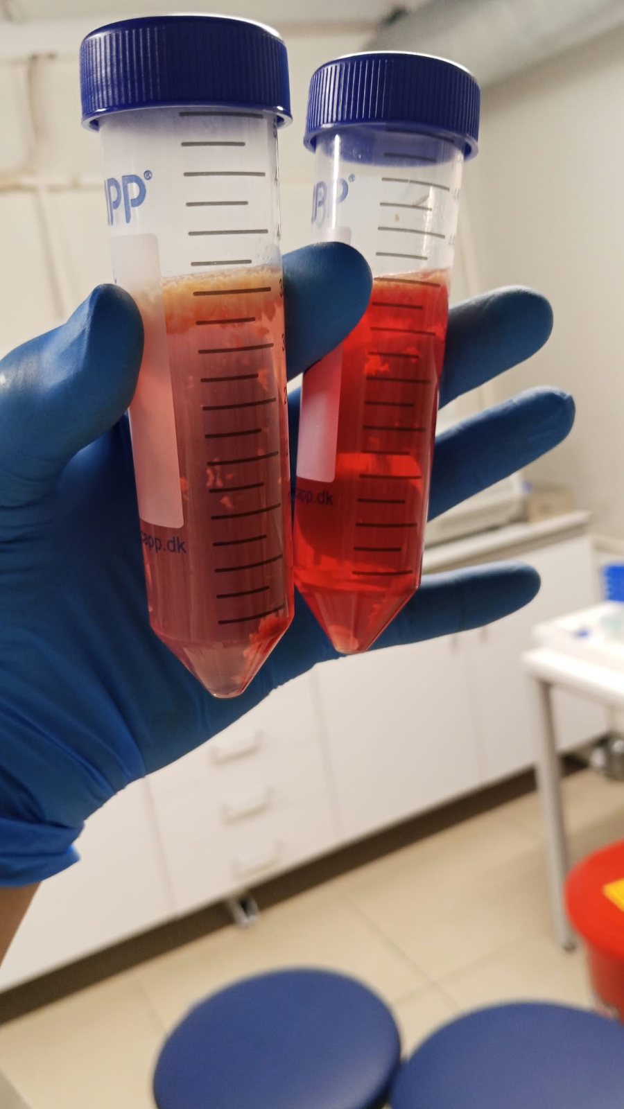 3B Üretilmiş Biyomedikal Ürünlerin Sitotoksisite Testleri — laboratuvar görüntüsü